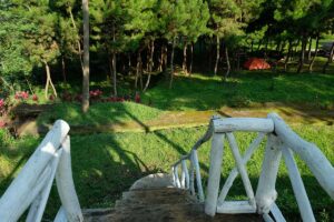 paintball war games di hutan pinus camping di lembang
