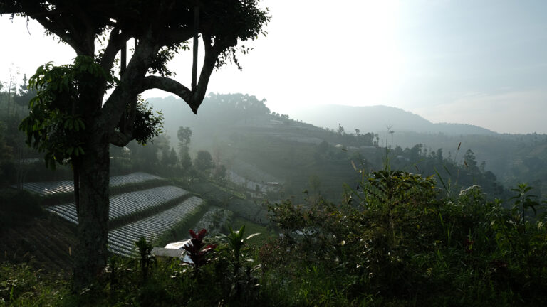 hilltop camp lembang